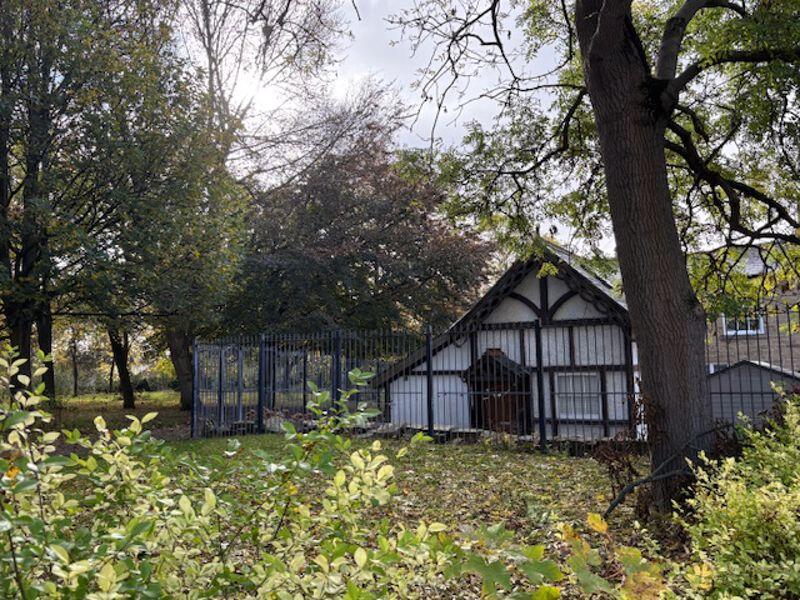 Photo 11