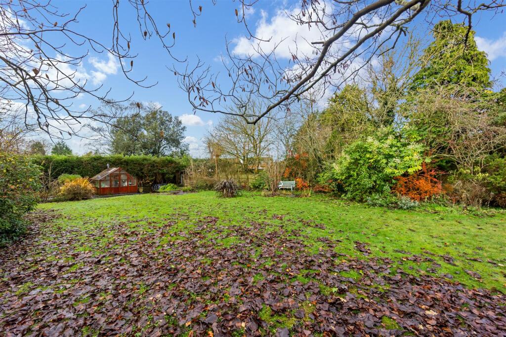 37 Ormskirk Road garden 2.jpg