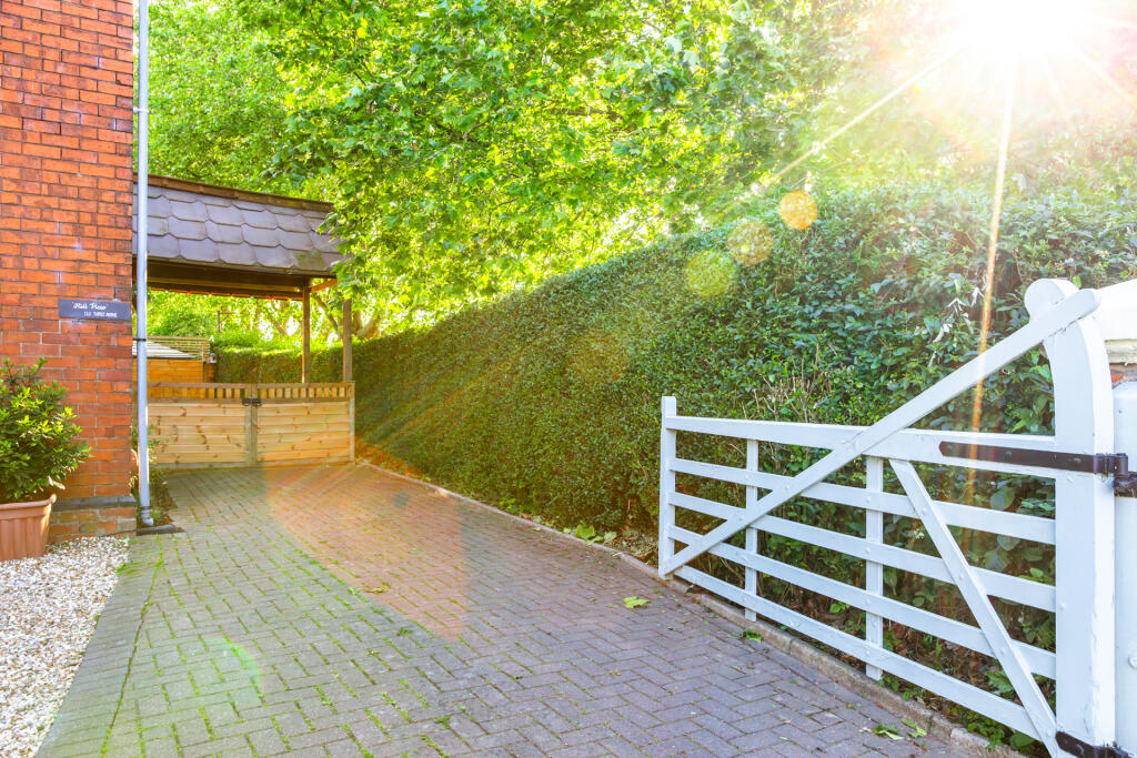 5F8A4434-Enhanced-NR