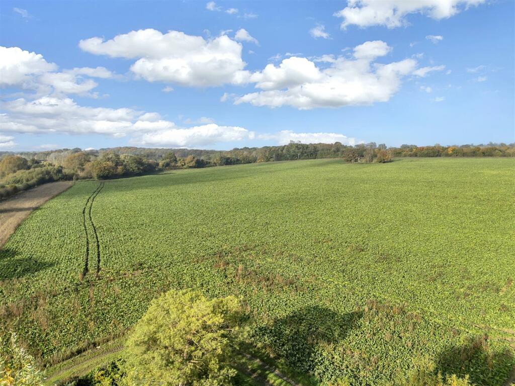DJI_0465.jpg
