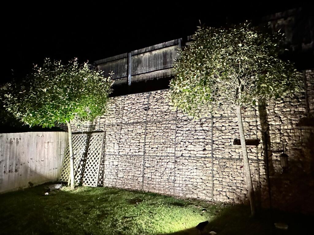 Night Garden
