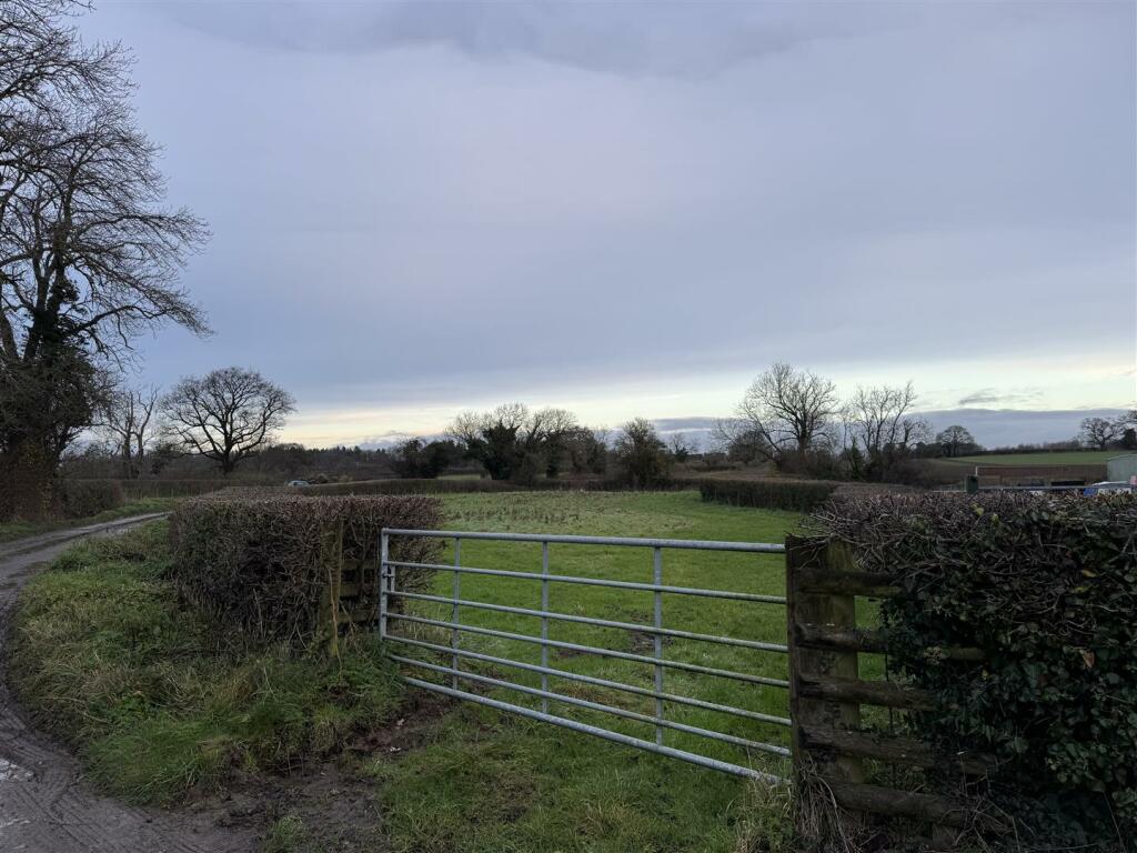 IMG_7066.jpeg