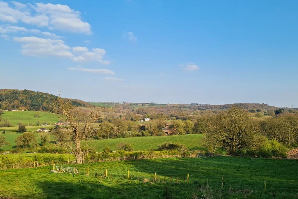 Surrounding Area