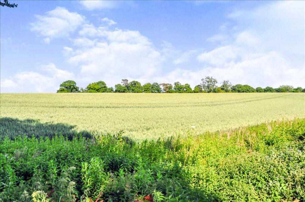 FARMLAND