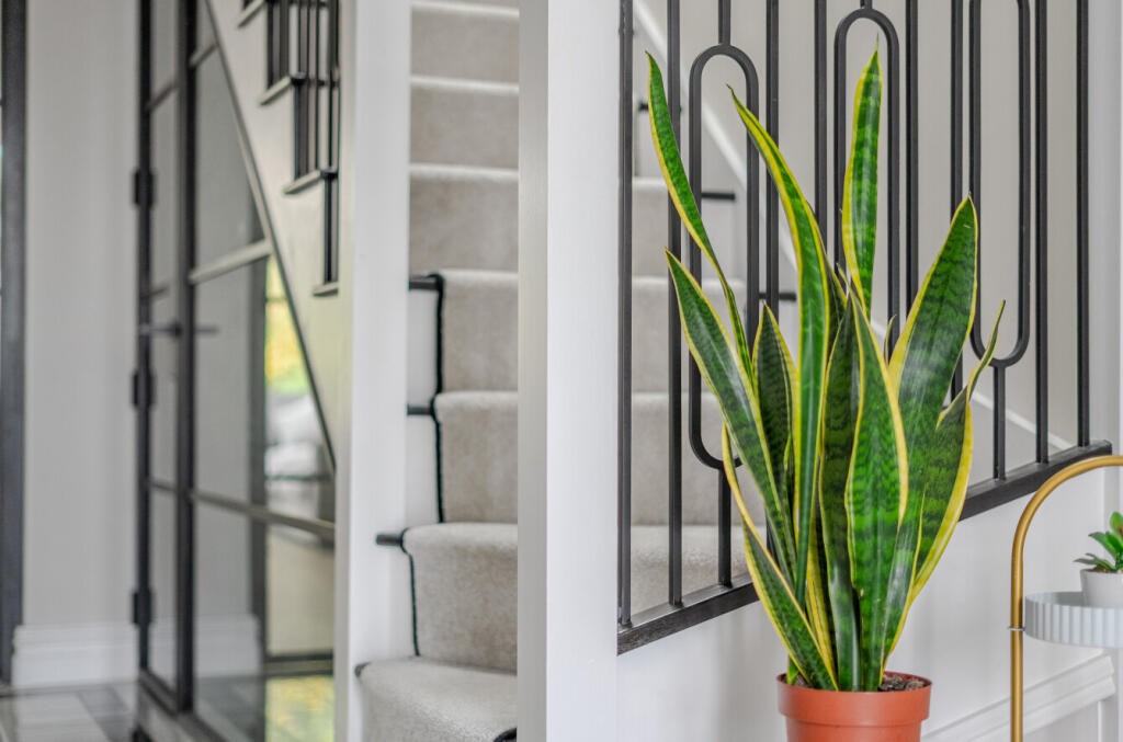 1371712-20-68f8a7...