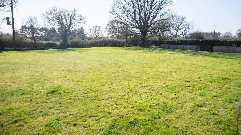 Back Garden