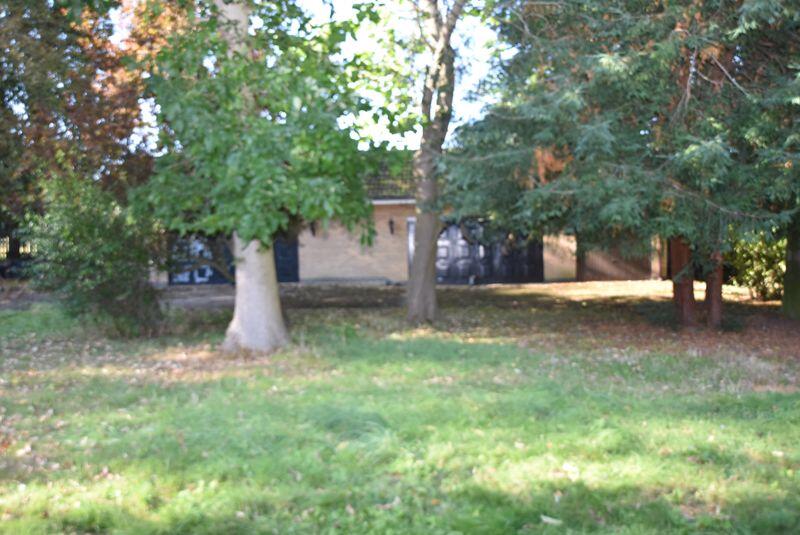 Photo 49