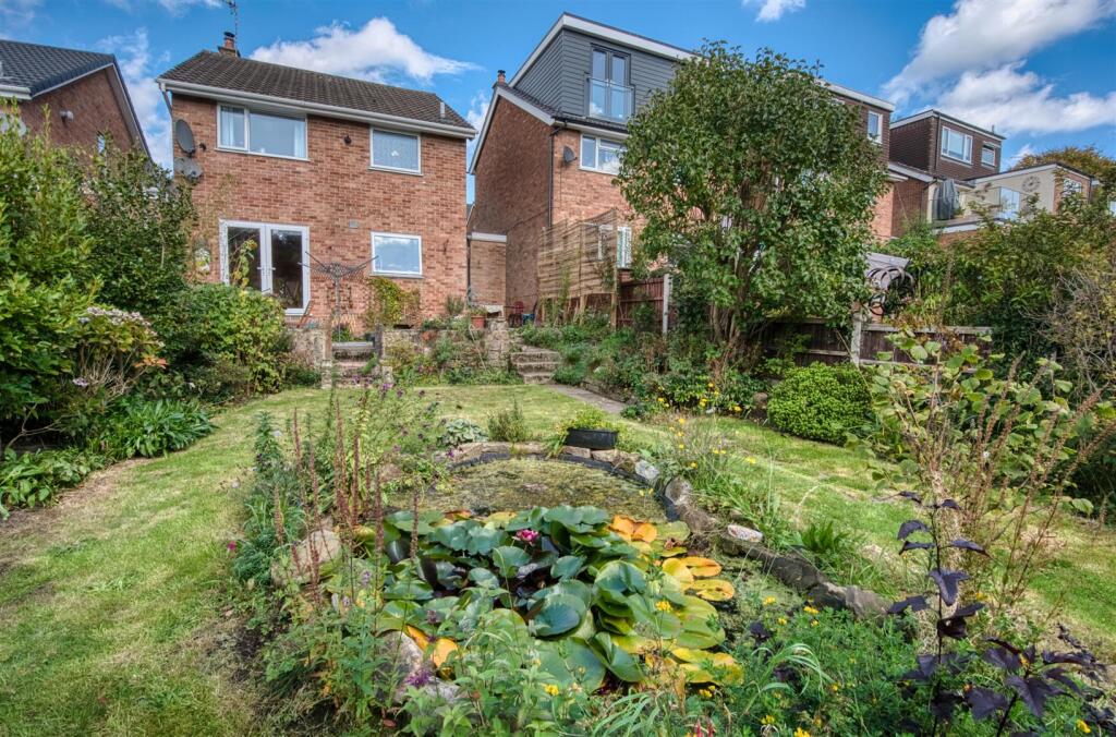 Garden pond and lawn.jpg