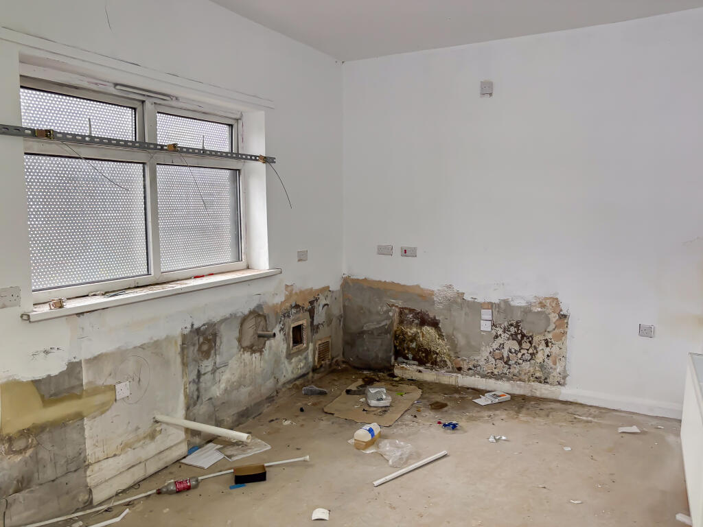 IMG 4198 T202507171646.jpg