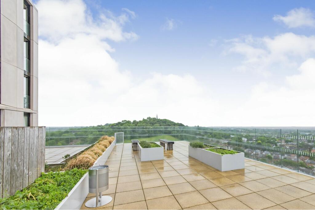 Roof Top Terrace