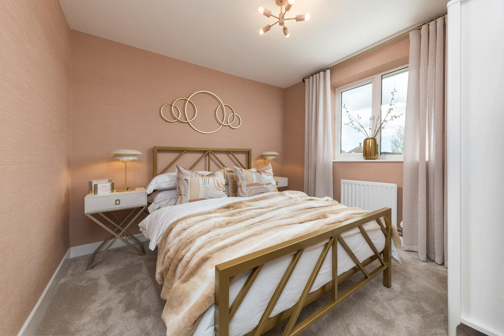 L-VIPNE-MAY.Mayfield-AYNP-21-017