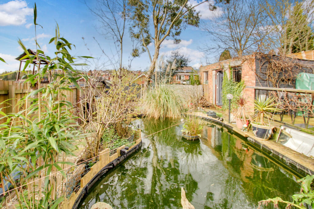 Pond