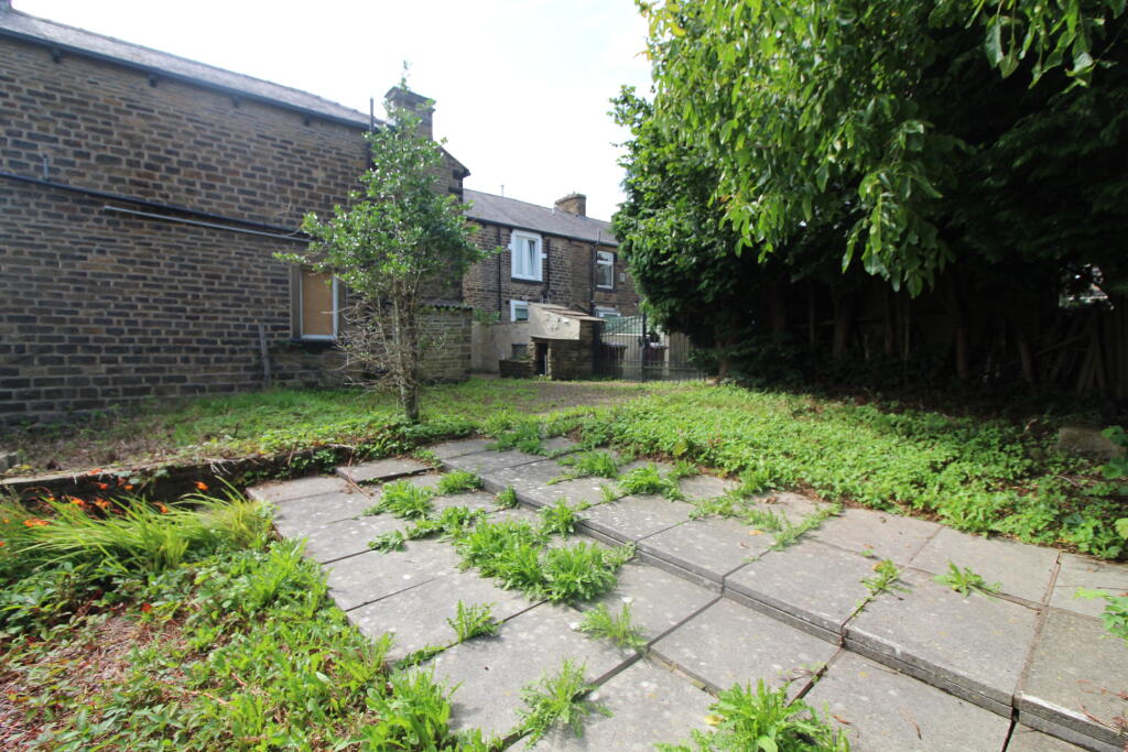 Garden 2 T202507251439.jpg