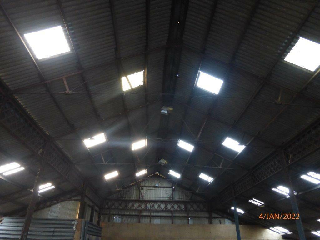 P1010376.jpg