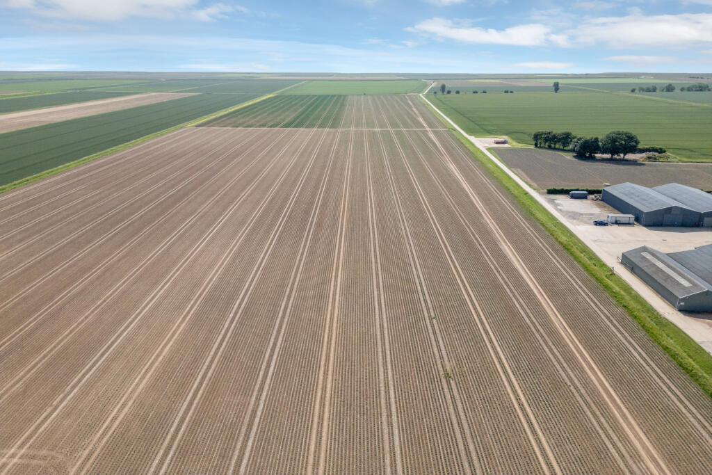 Land