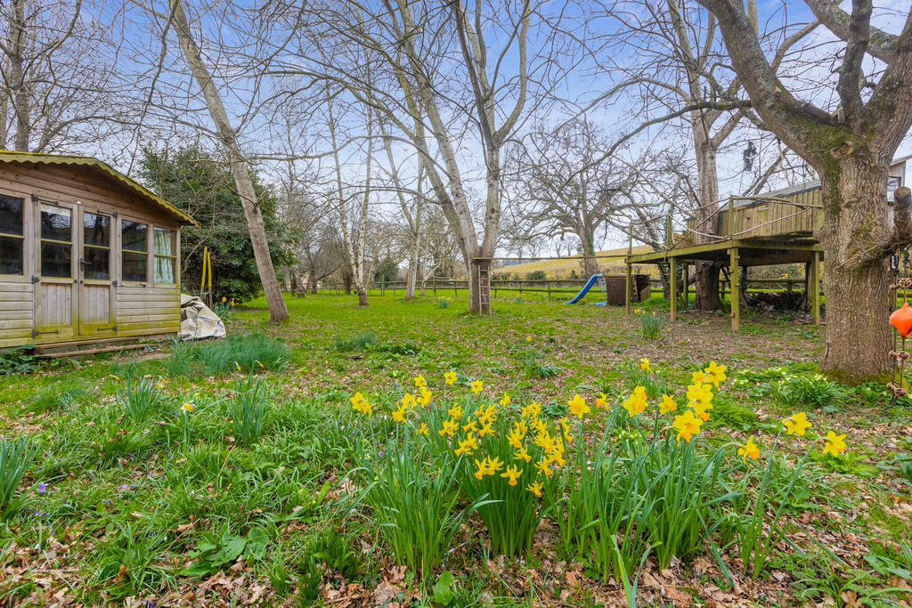 Recreational Fiel...