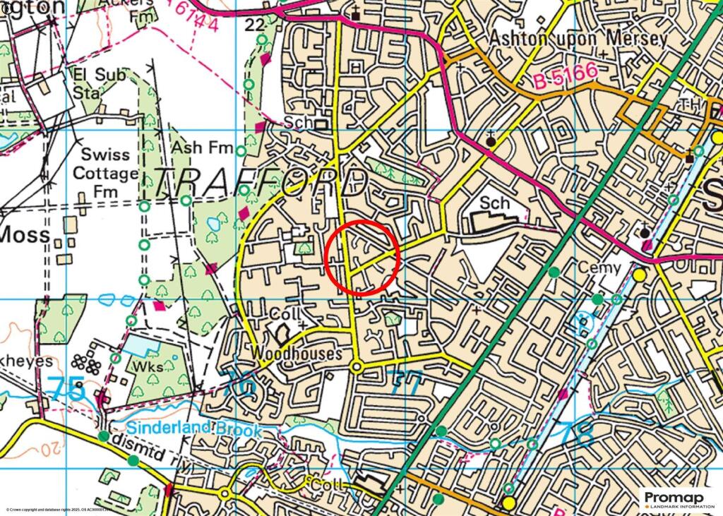 Town Plan