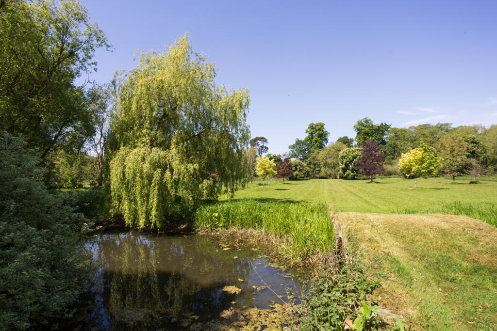 Pond and Paddock