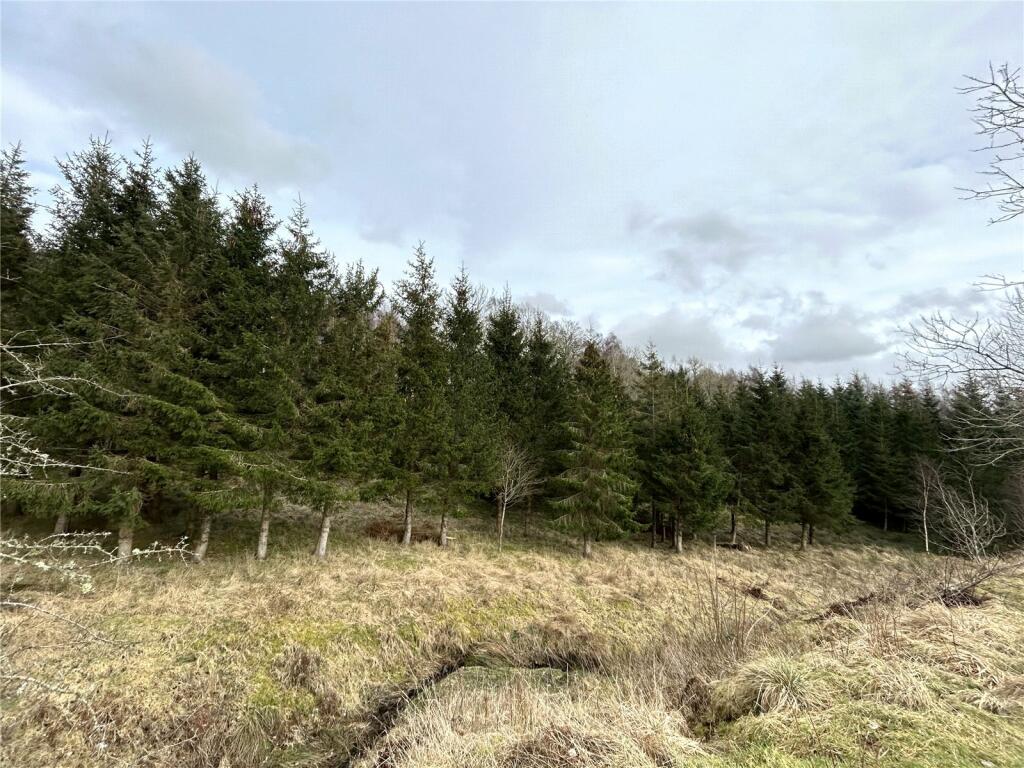 Woodland
