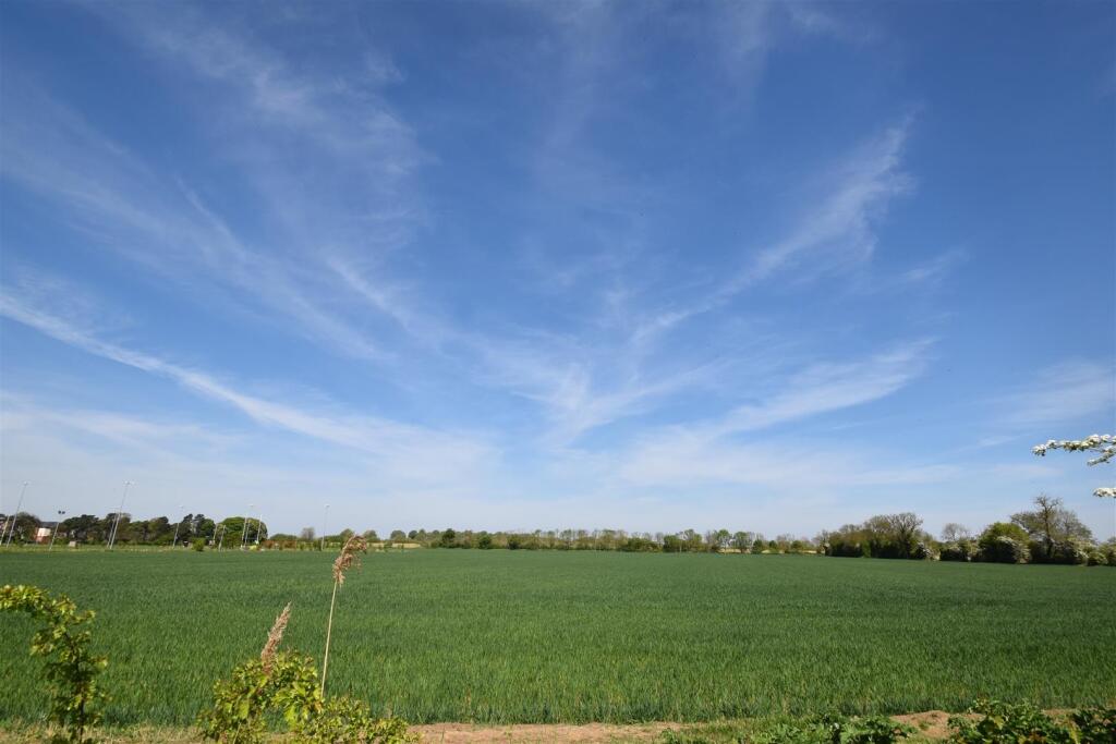 DSC_0052.JPG