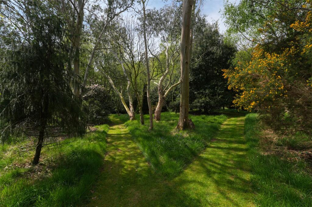Woodland