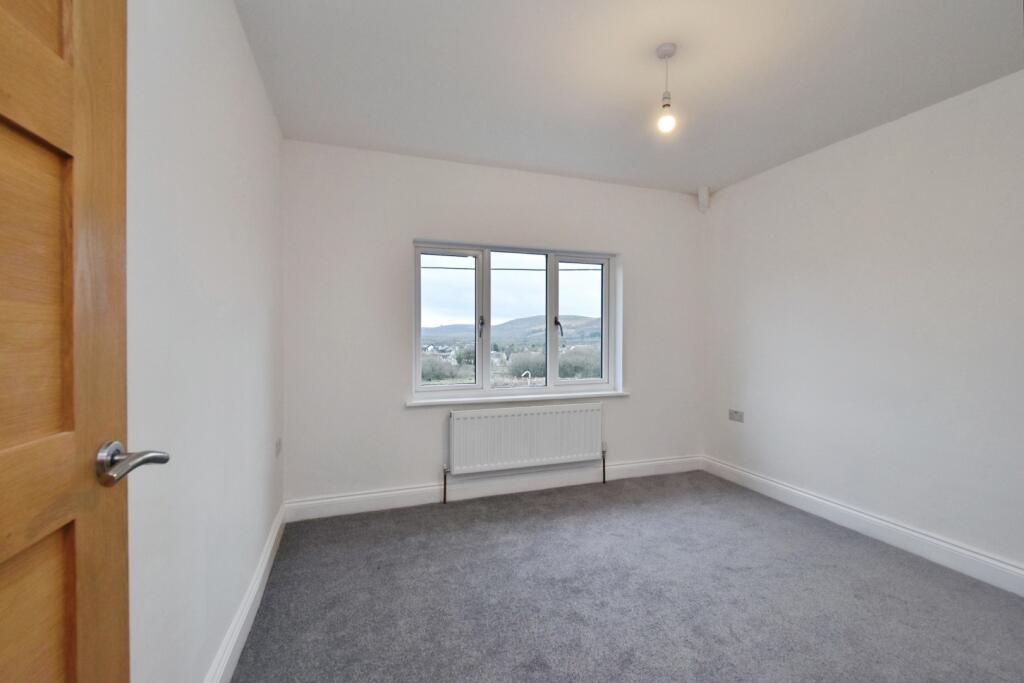 IMAGE 13