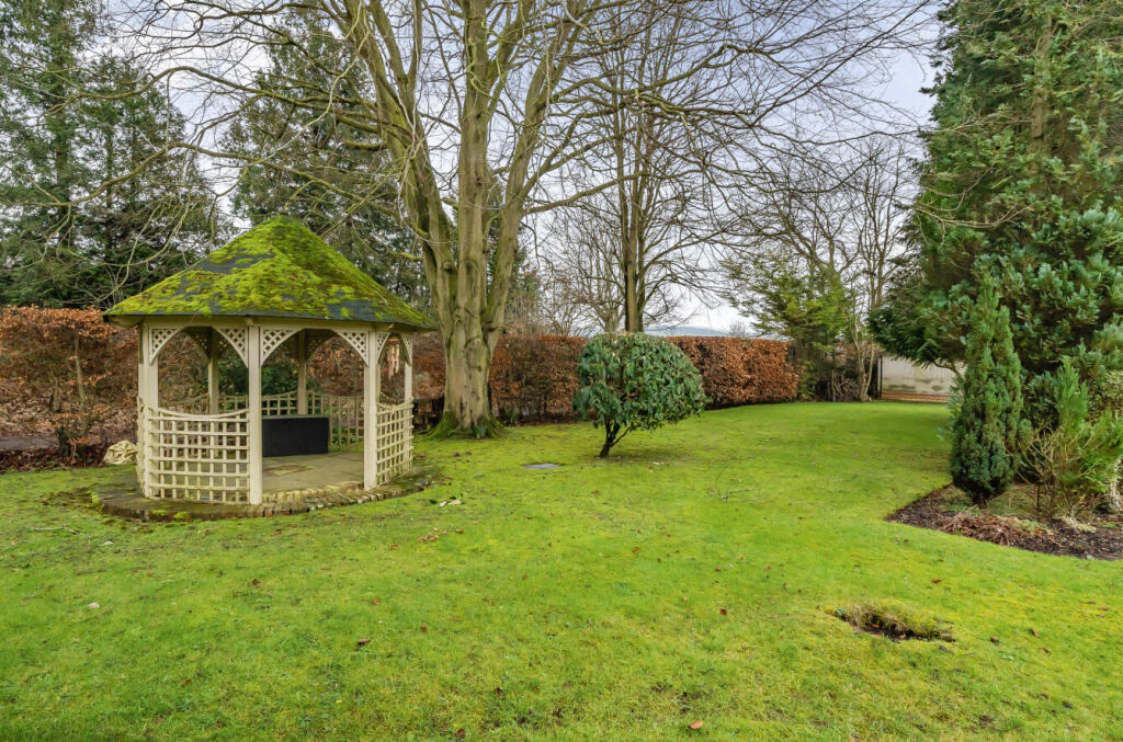 1248197 (9).jpg