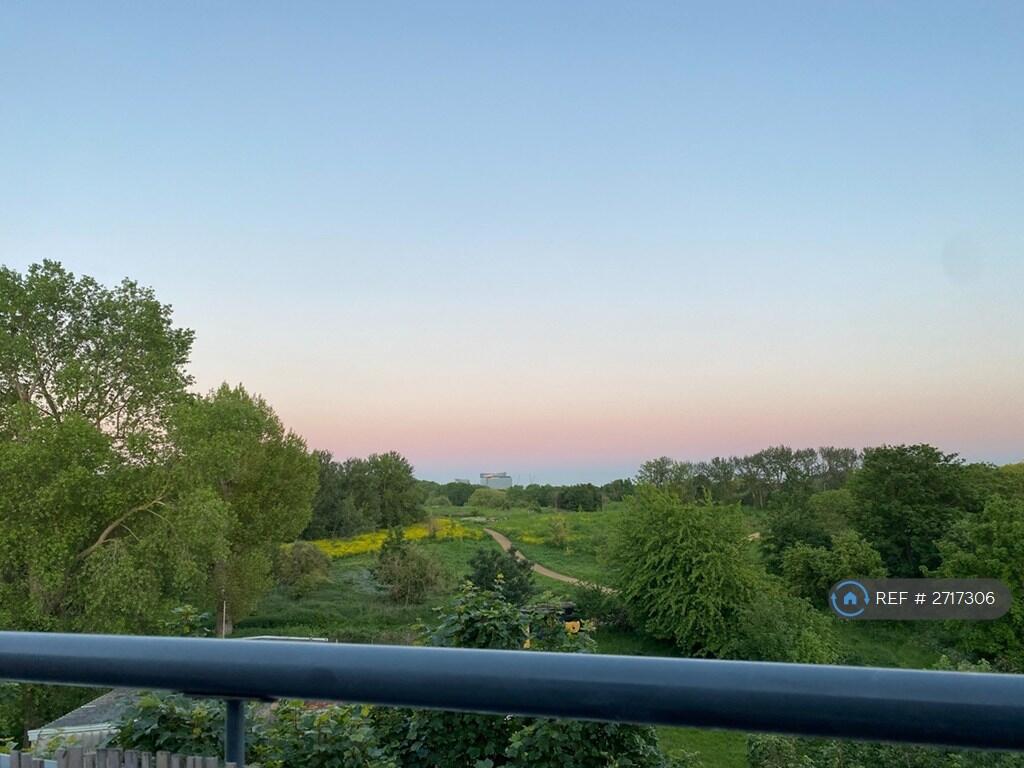 Sunrise View