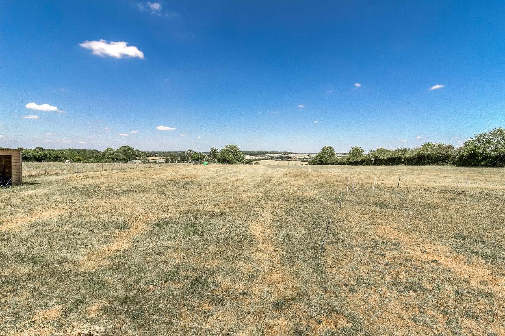 Views from Rear Garden