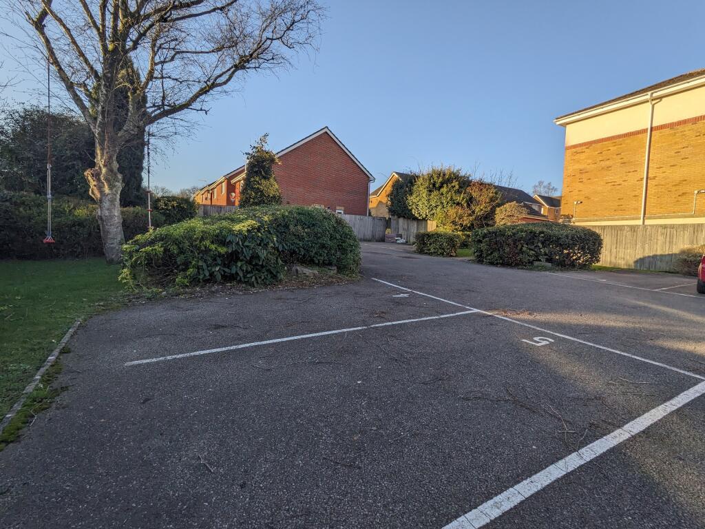 PXL_20240109_143606156.MP