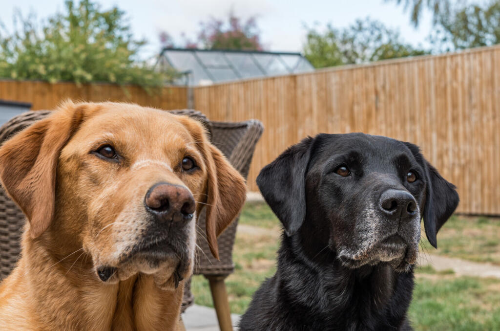 13431822568ad84122f427