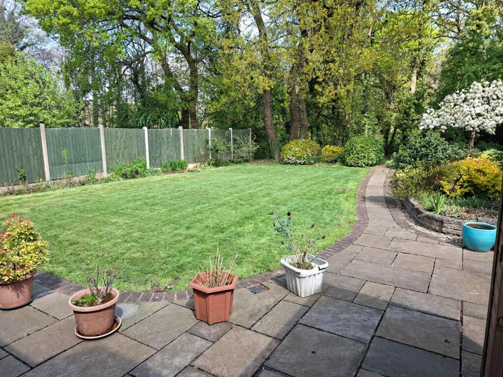Back Garden 3.jpg