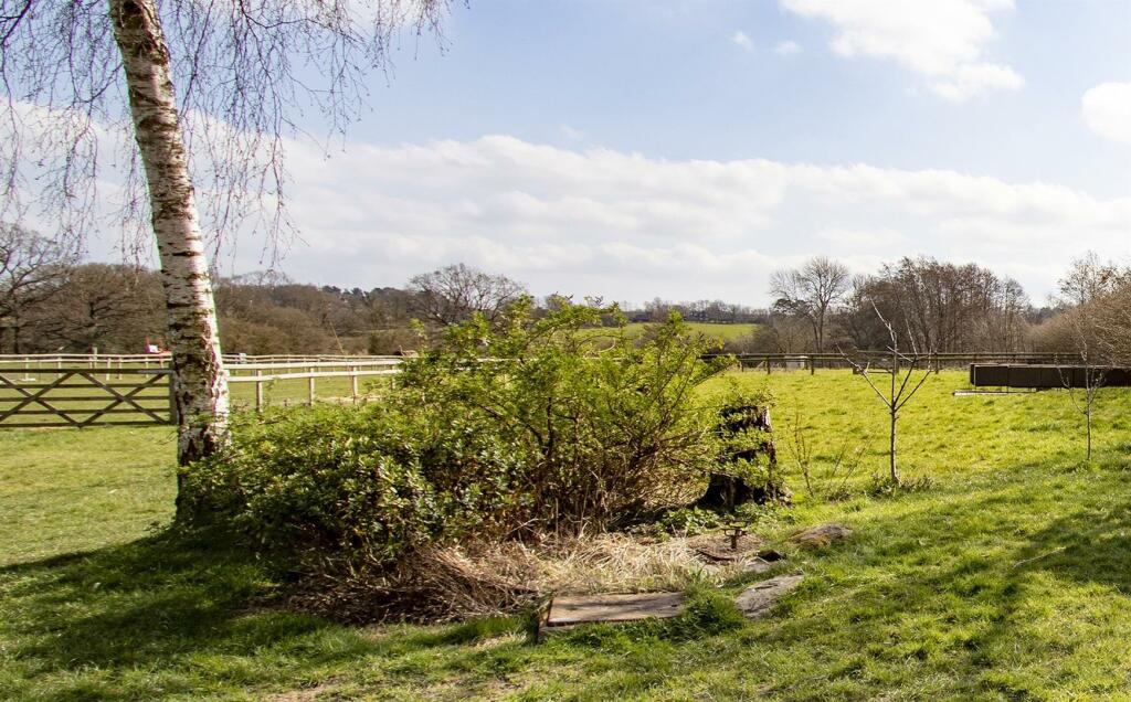 garden2.jpg