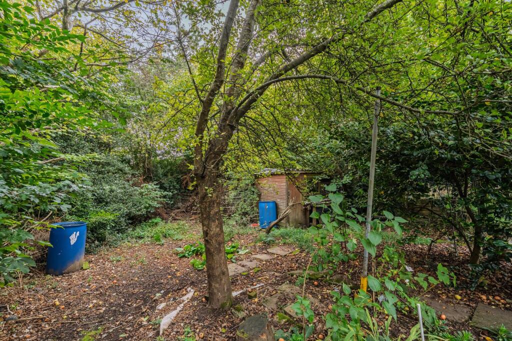 33 Hawthorn Road-21.jpg