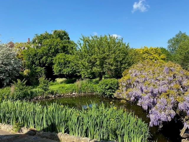 butchers garden photo.jpg
