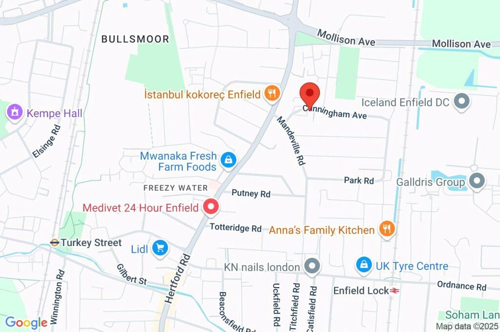 Google Maps Image