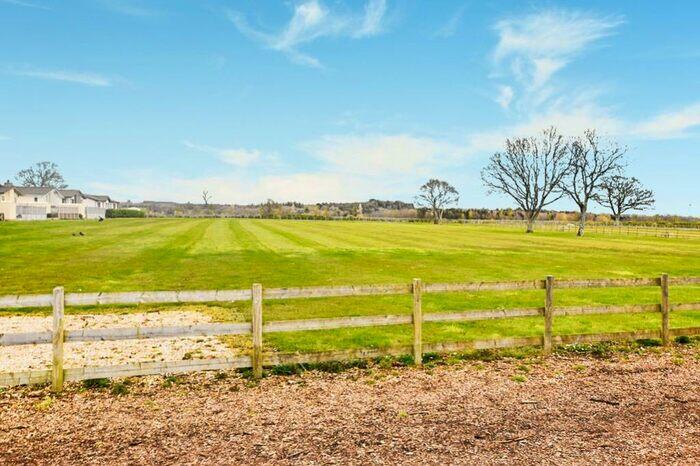 Walking Field