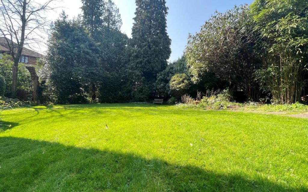 Communal Garden