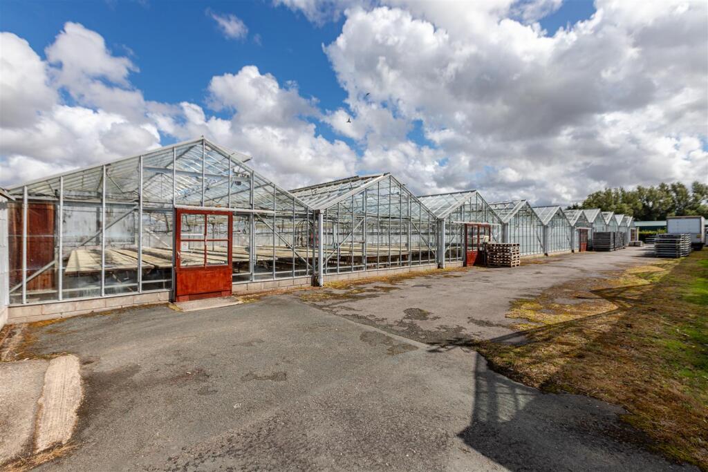 Sintons Nurseries - Ground level glasshouses