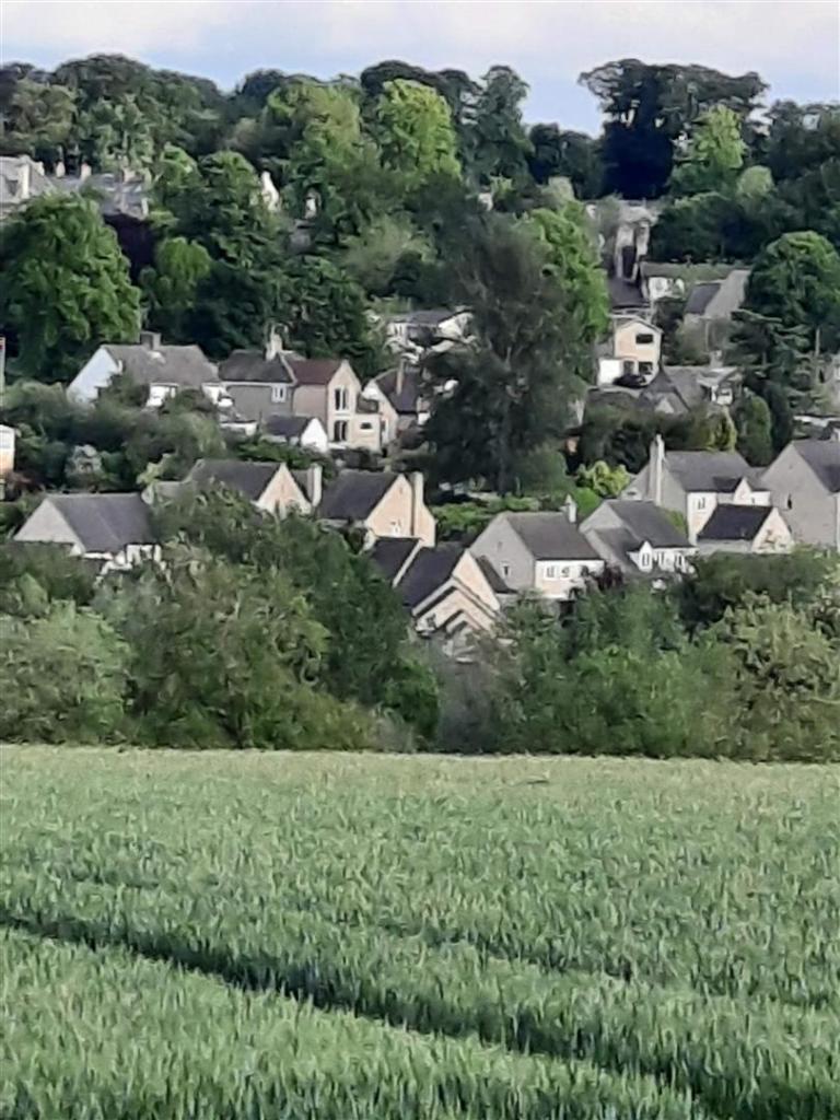 Vendor Photo rear view portrait.jpg
