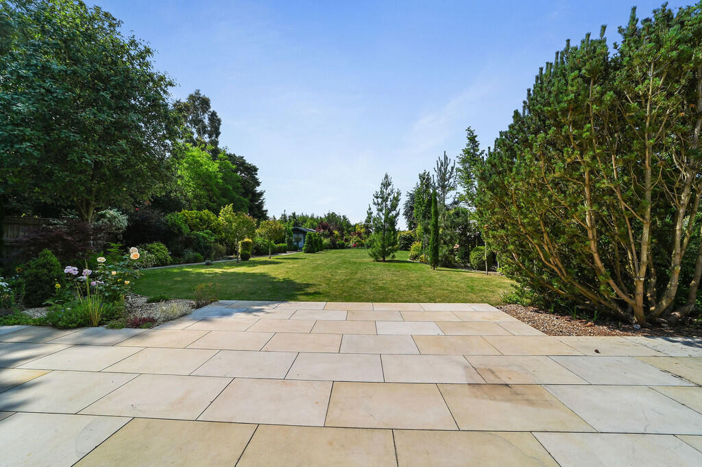 PT-DB(WP)-Brindle...