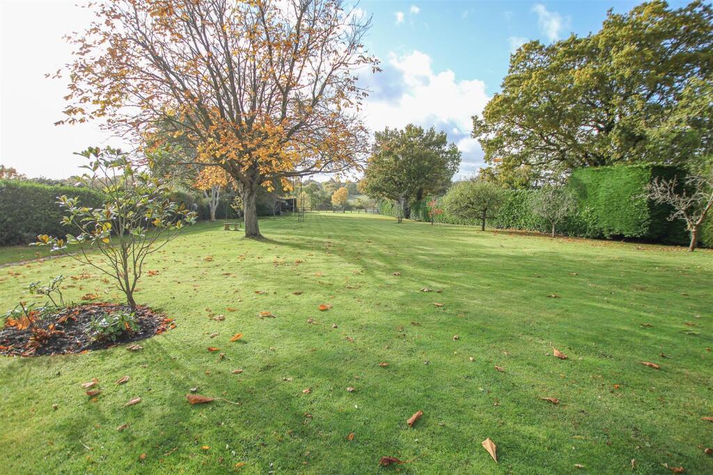 IMG_8926-13.jpg