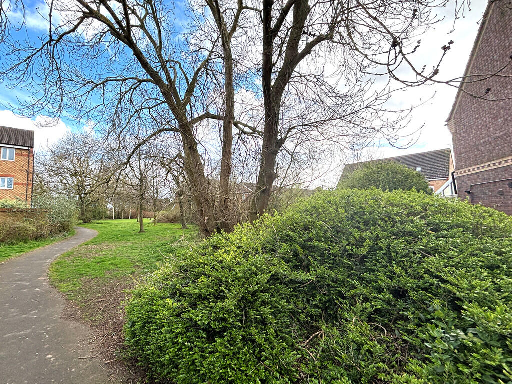 Open space