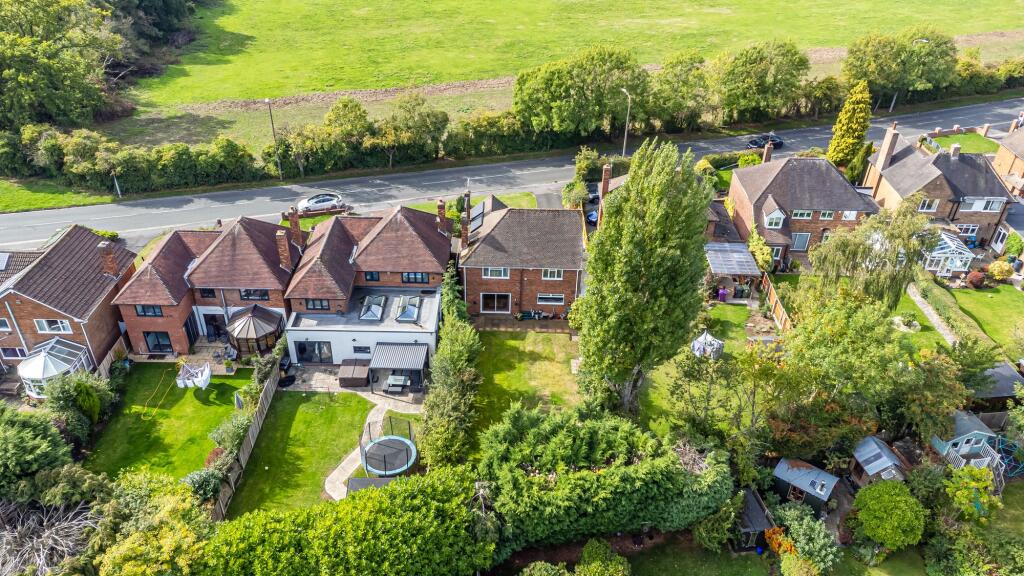 Plot View