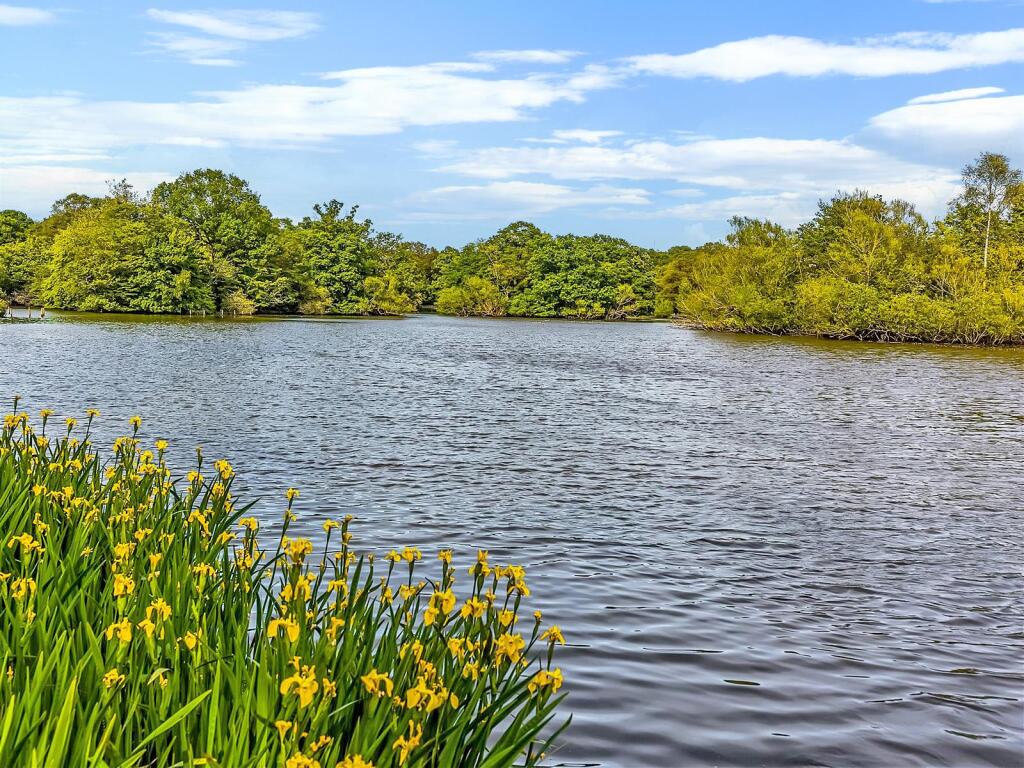 Chingford Lake