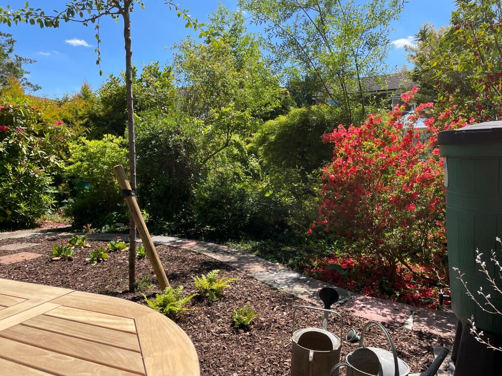 Well stocked borders