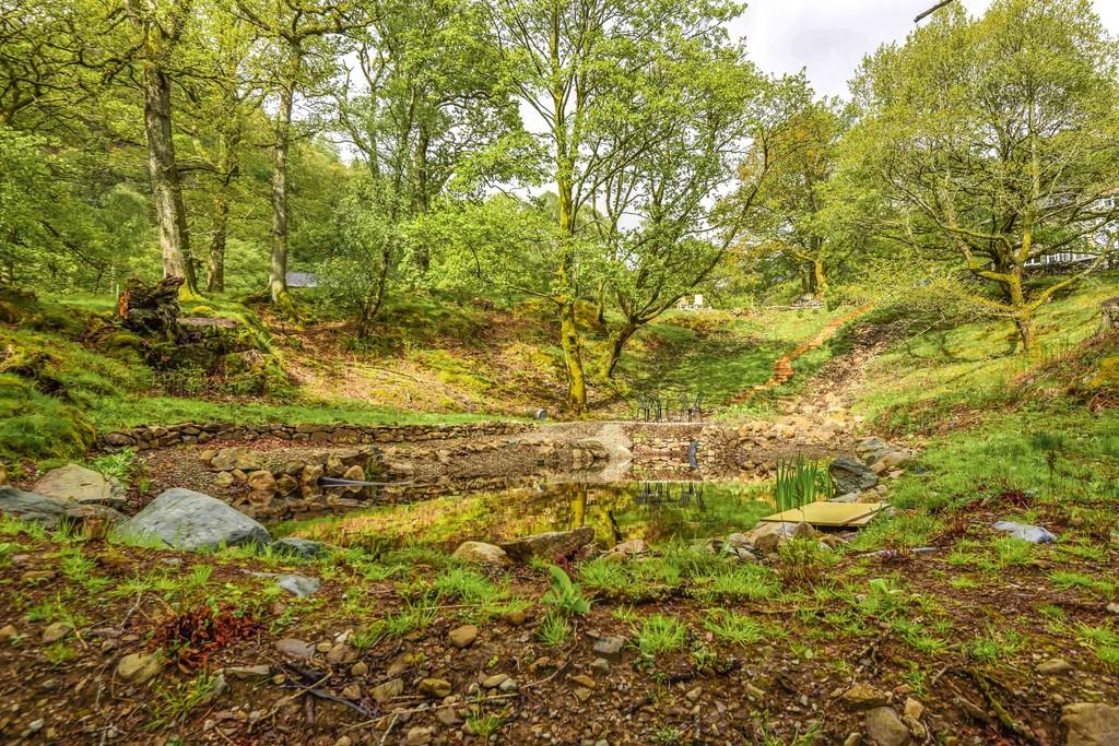 Woodland garden a...
