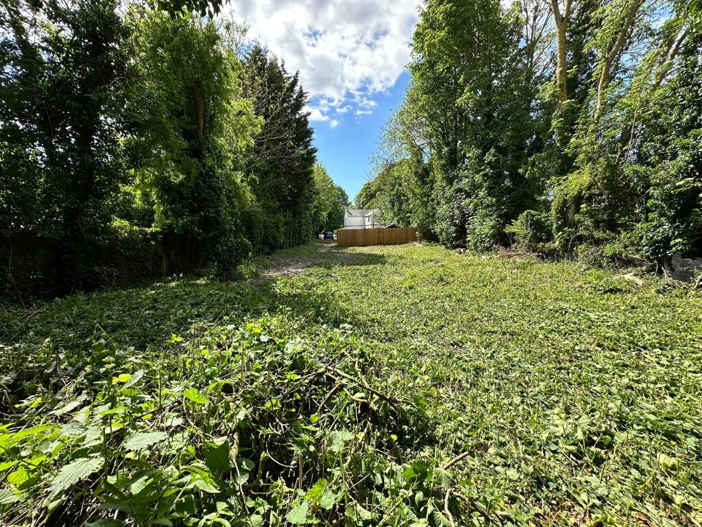 3  Medium  T202506121519.jpeg