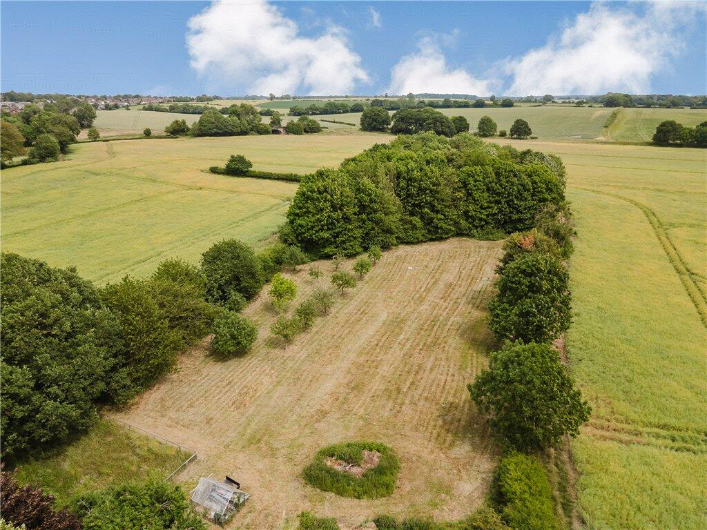 Orchard &amp; Meadow