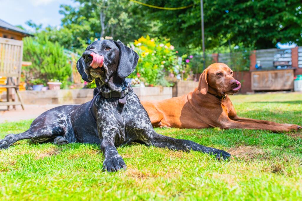 Award-winning Media team on EVERY Listing_24